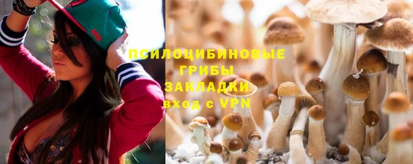 спиды Магадан