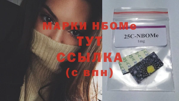 индика Магас