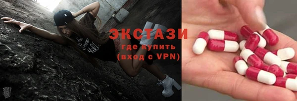 индика Магас