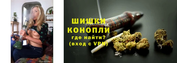 индика Магас