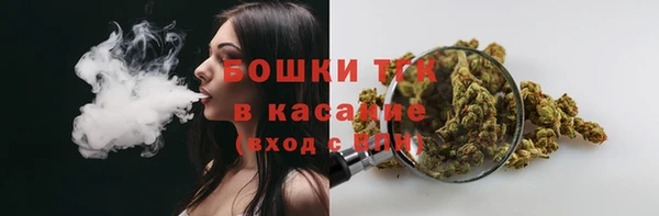 индика Магас