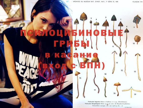 спиды Магадан