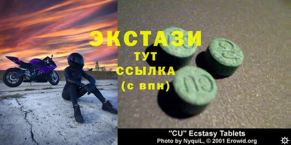 индика Магас