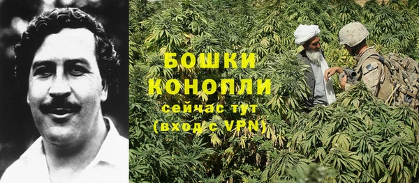 индика Магас