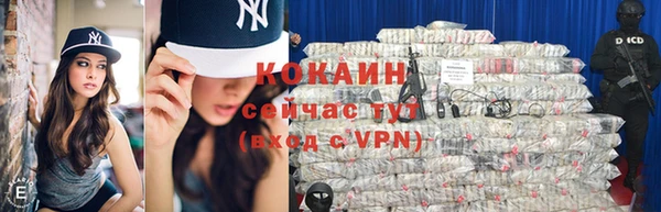 индика Магас