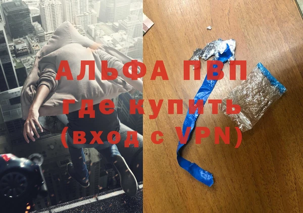 индика Магас